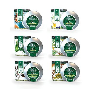 KIt Chás - Composto por 6 latas de Chás com 40 g cada