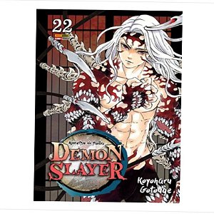 Demon Slayer - Kimetsu no Yaiba - 22