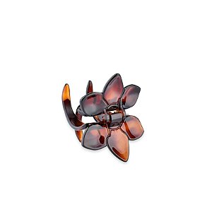 Piranha de cabelo francesa Finestra flor marrom N469