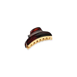 Piranha de cabelo francesa Finestra marrom dourado F22938BD