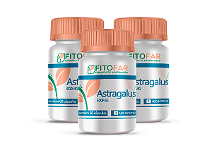 Astragalus - 500MG - Kit 3 Potes