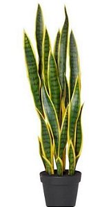 Espada De Santa Barbara