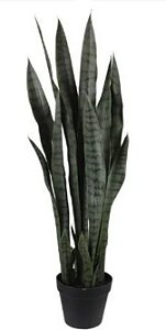 Espada De São Jorge