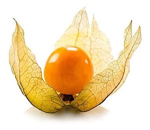 Physalis ou Juá de Capote