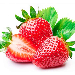 KIT COM 10 MUDAS DE MORANGO