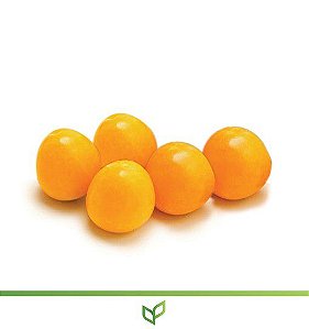 Fruta do Sabiá