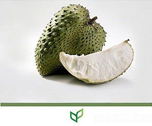 Graviola