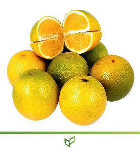 Laranja Pera Rio