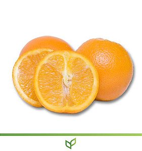 Laranja Serra D'Água - Enxertadas