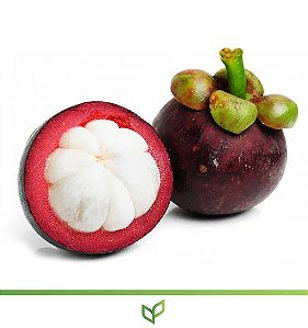 Mangostim ou Mangostão