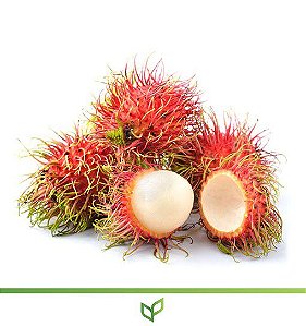Rambutã