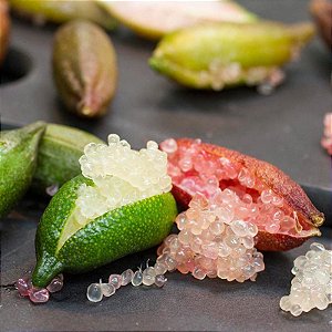 Limão Caviar - Enxertada