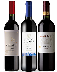 KIT CHURRASCO - Viento del Mar Merlot, Coliman Malbec, Cousino Macul Don Luis Syrah