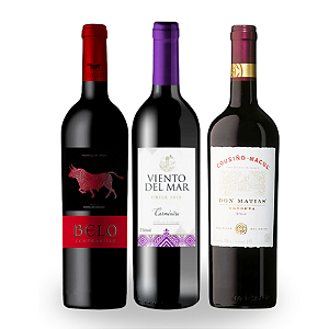 KIT CUSTO BENEFICIO - Viento del Mar Carmenere, Cousino Macul Don Luis Syrah, Belo Tempranillo