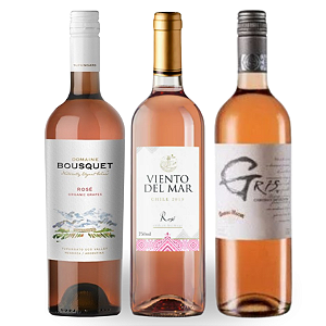 KIT ROSÉS & LEVES - Domaine Bousquet Rosé Premium, Viento del Mar Rosé, Cousino Macul Gris Rosé