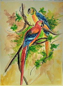 Aquarelas Araras com coloração vibrante