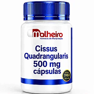 Cissus Quadrangularis 500 mg – Saúde Articular e Suporte Ósseo Natural
