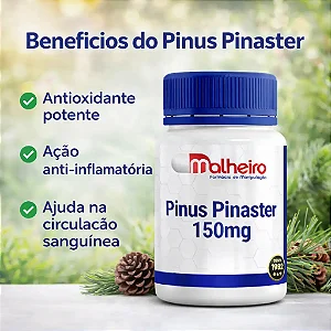 Kit Pinus Pinaster 150 mg + Oli-Ola™ 300 mg – Antioxidante, Pele Saudável e Juventude Celular