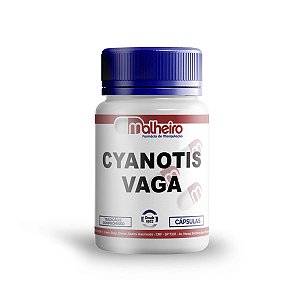 Cyanotis Vaga 200 mg cápsulas