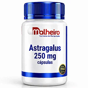 Astragalus 250 mg – Apoio Imunológico e Resiliência Diária