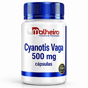 Cyanotis Vaga 500 mg – Suplemento Natural com Ecdisterona
