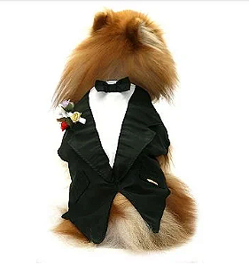 Fraque para Pet
