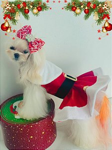 Vestido Mamãe Noel para pet