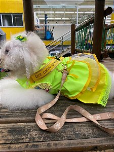 Vestido Rainha do Milho