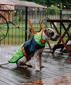 Capa de chuva Madri