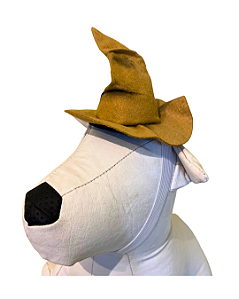 Chapéu bruxo