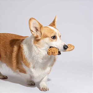 WoodPlay Osso para Cães