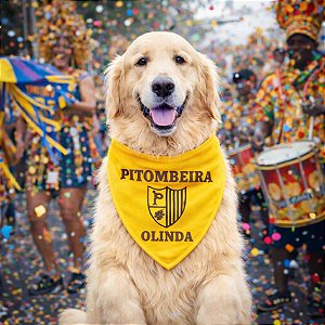 Bandana Pitombeira