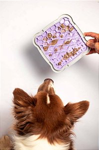 Comedouro Lento Tapete de Lamber para Cães