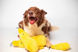 Pelúcia Pato com Apito e Som