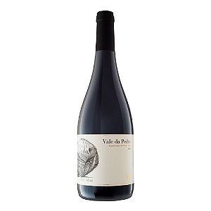 VALE DA PEDRA SYRAH GUASPARI 750ML