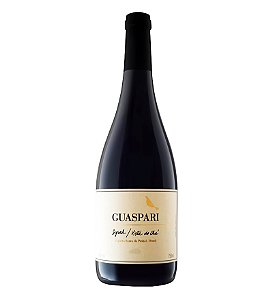 VALE DO CHÁ SYRAH GUASPARI 750ML
