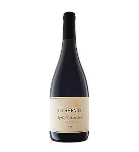 VISTA DA SERRA SYRAH GUASPARI 750ML