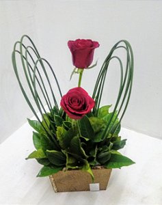Duas rosas especiais