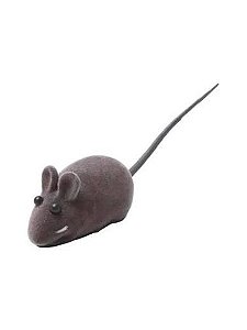 Rato de Brinquedo