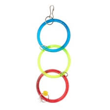 Argola Tripla para Agapornis