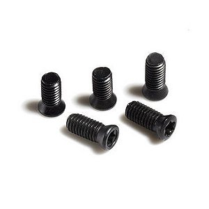 KIT 10 UN - Parafuso Torx M3,5x10 - (P/CHAVE T15)