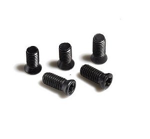 KIT 10 UN - Parafuso Torx M2,2x6 (P/ CHAVE T6)