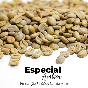 Café Para Torrar E Moer 10kg Especial Premium Coffee Brazil podendo até revender Bebida Mole
