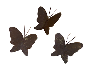 Trio de Borboletas