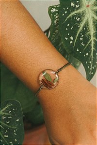 Pulseira arruda e canela