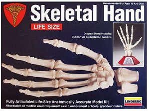Lindberg - Skeletal Hand - 1/1