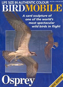 BIRDMOBILE - Puzzle 3D Papercraft Osprey (Águia-Pescadora)