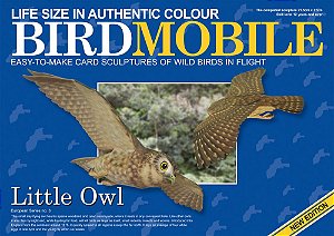 BIRDMOBILE - Puzzle 3D Papercraft Little Owl (Coruja-Buraqueira)