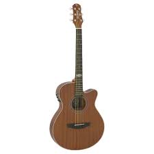VIOLÃO STRINBERG SF-200C MGS
