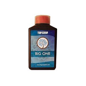 Big One - Energy Booster - 250ml